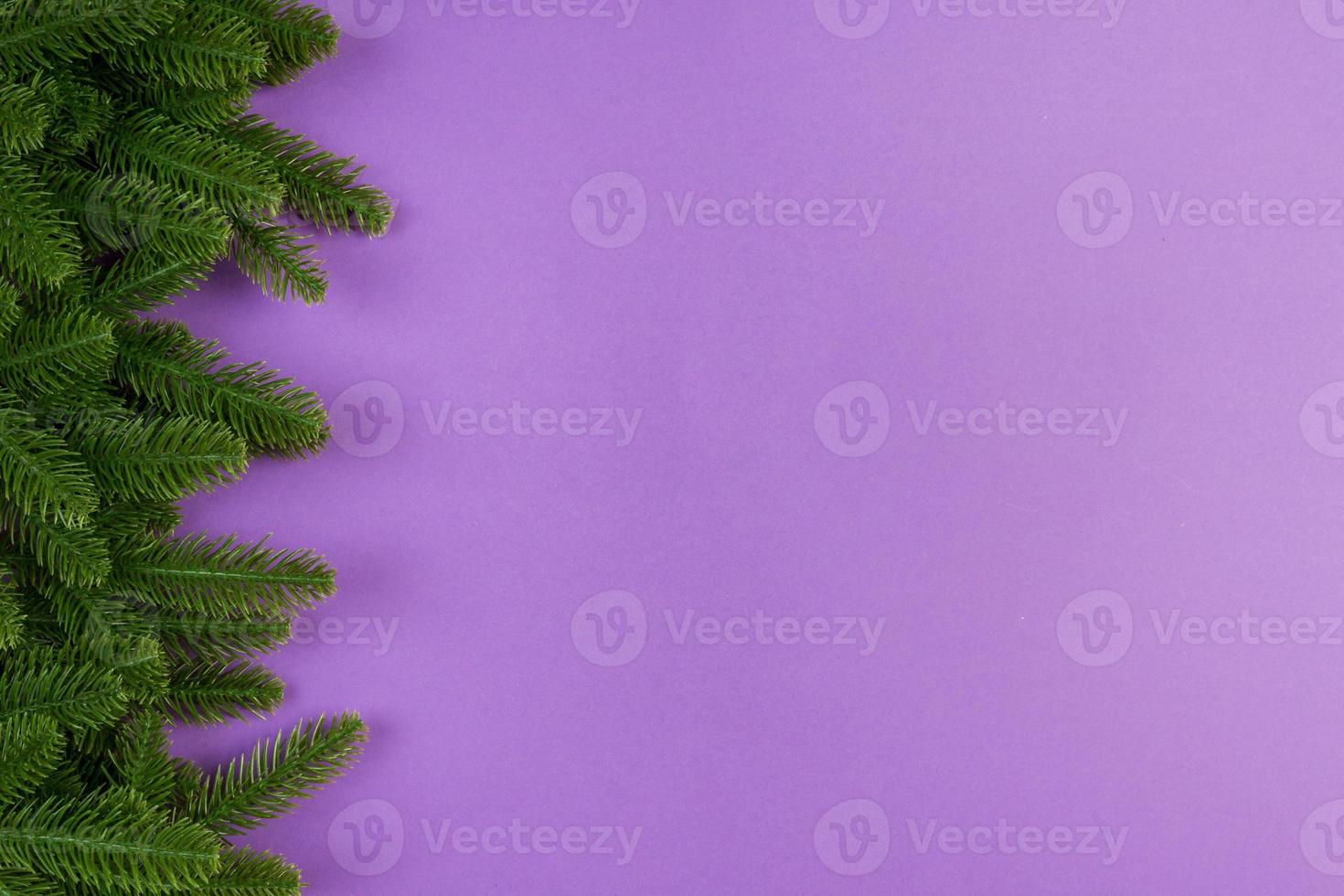 Top view of green fir tree branches on colorful background. New year holiday concept with empty space for your design photo