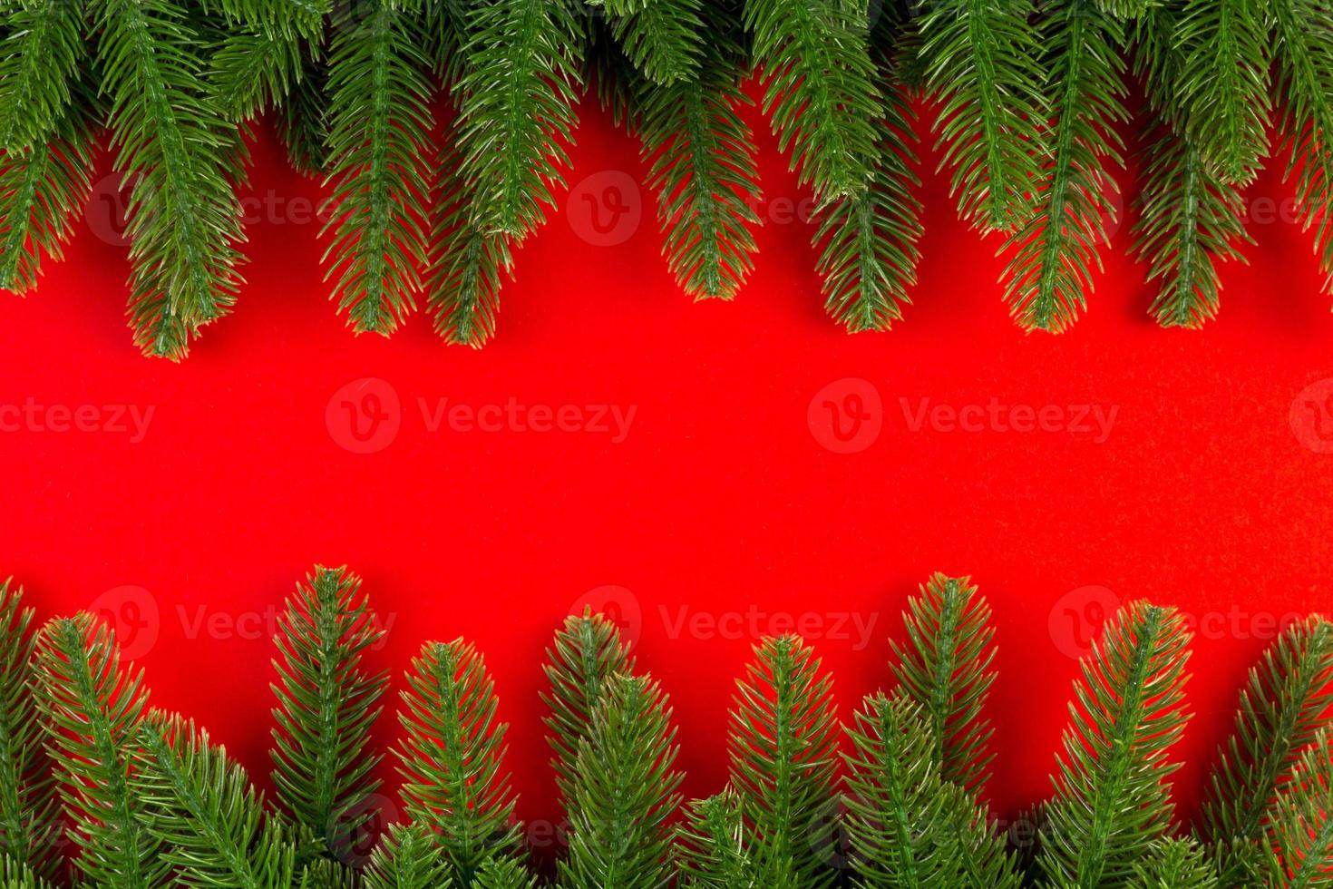 Top view of frame made of fir tree on colorful background with copy space. Merry Christmas concept photo
