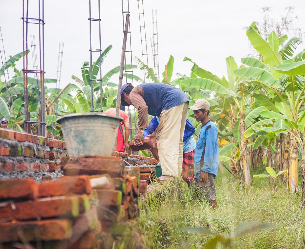 trabajadores de la construcción instalan ladrillos y cemento de hileras de ladrillos en paredes exteriores foto