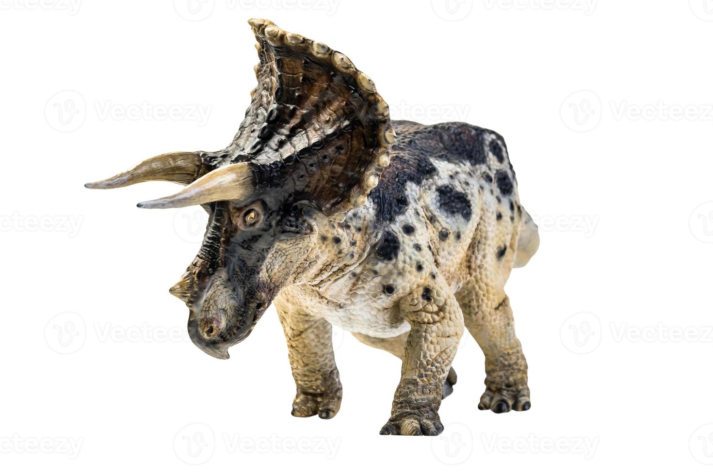 dinosaur , Triceratops on isolated background clipping path photo