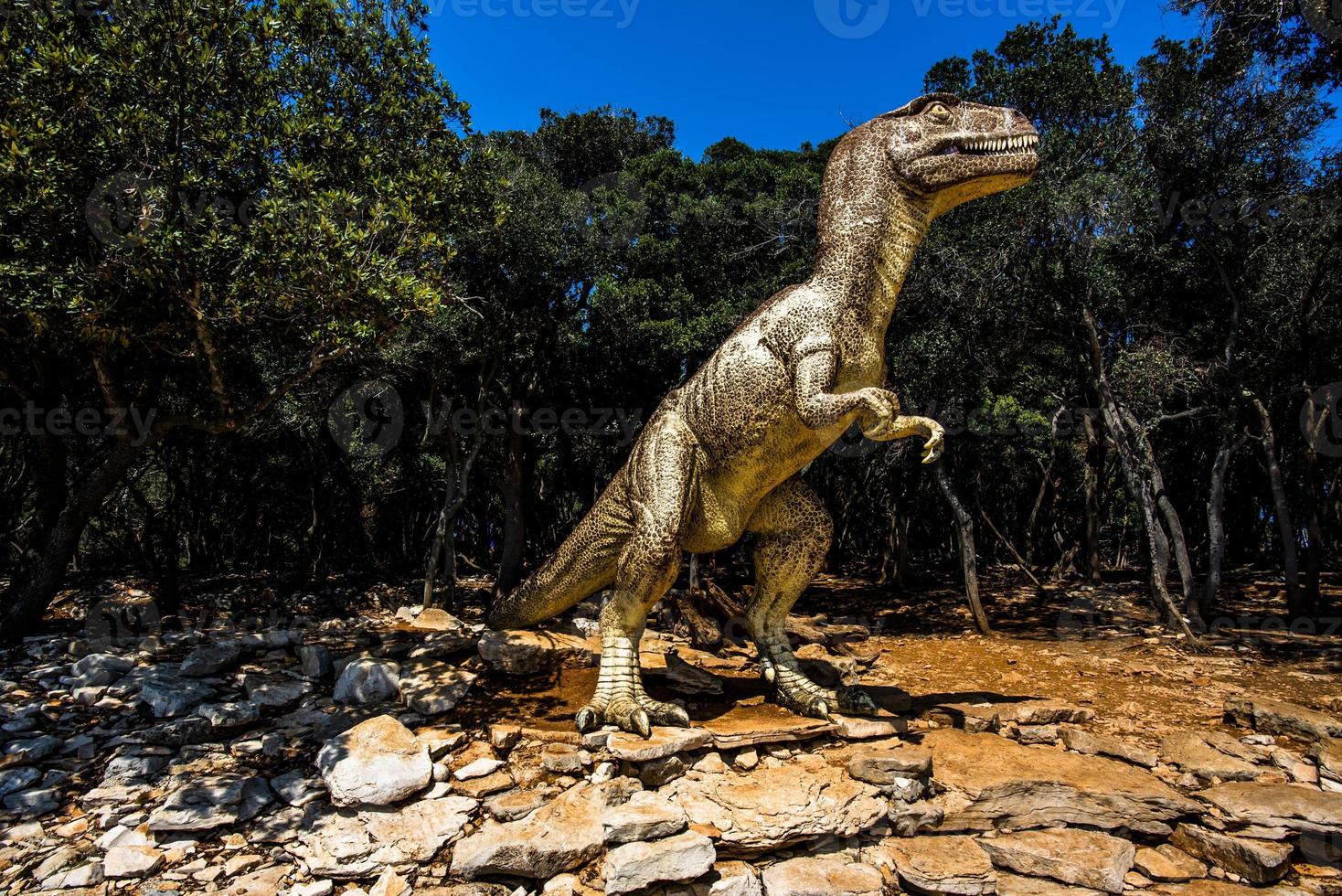 2022 08 09 Croazia Dino photo