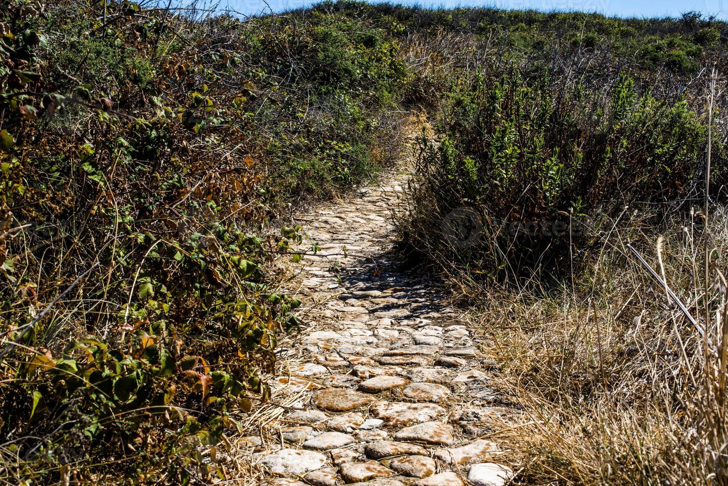 2022 08 11 croacia camino empedrado foto