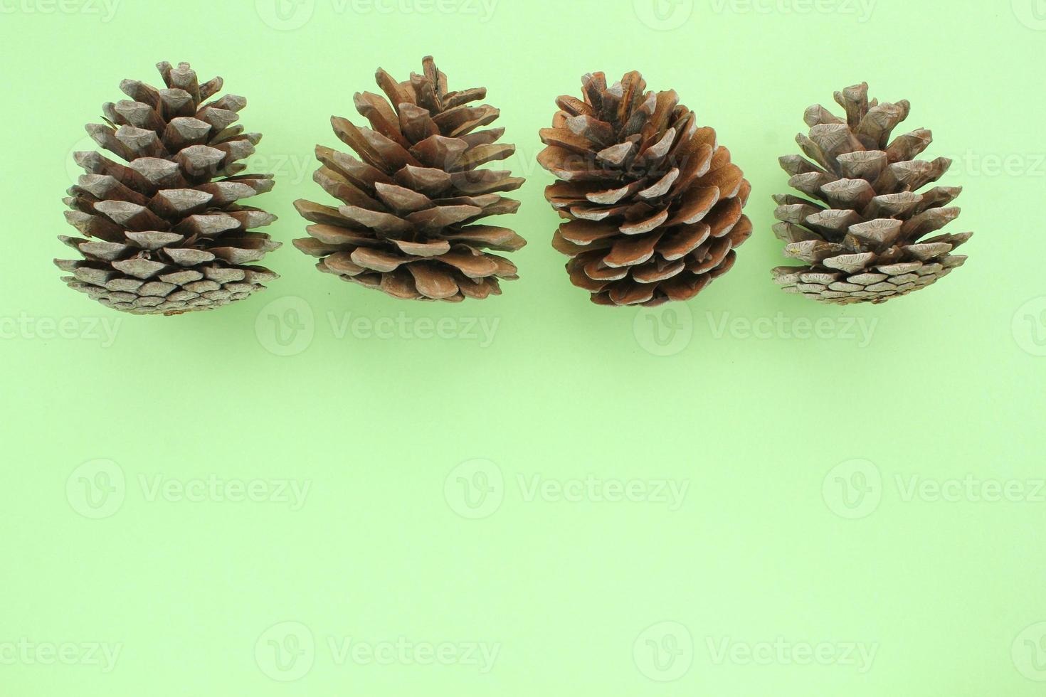 Pine fir cones of coniferous tree isolated on green background. Creative christmas holiday composition. Decoration for postcard. Natural forest materials. Top view, copy space, flat lay, close up photo