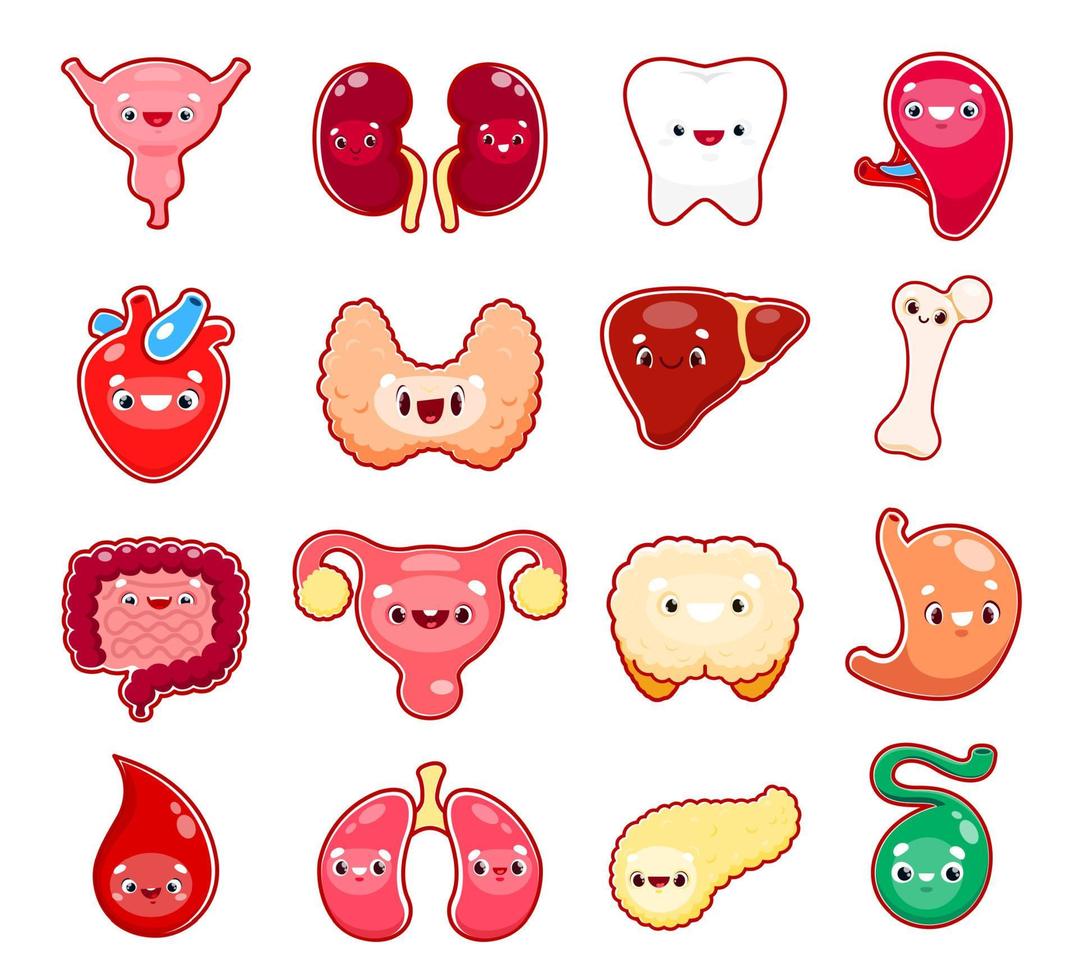 Cartoon human body organ characters, funny faces vector