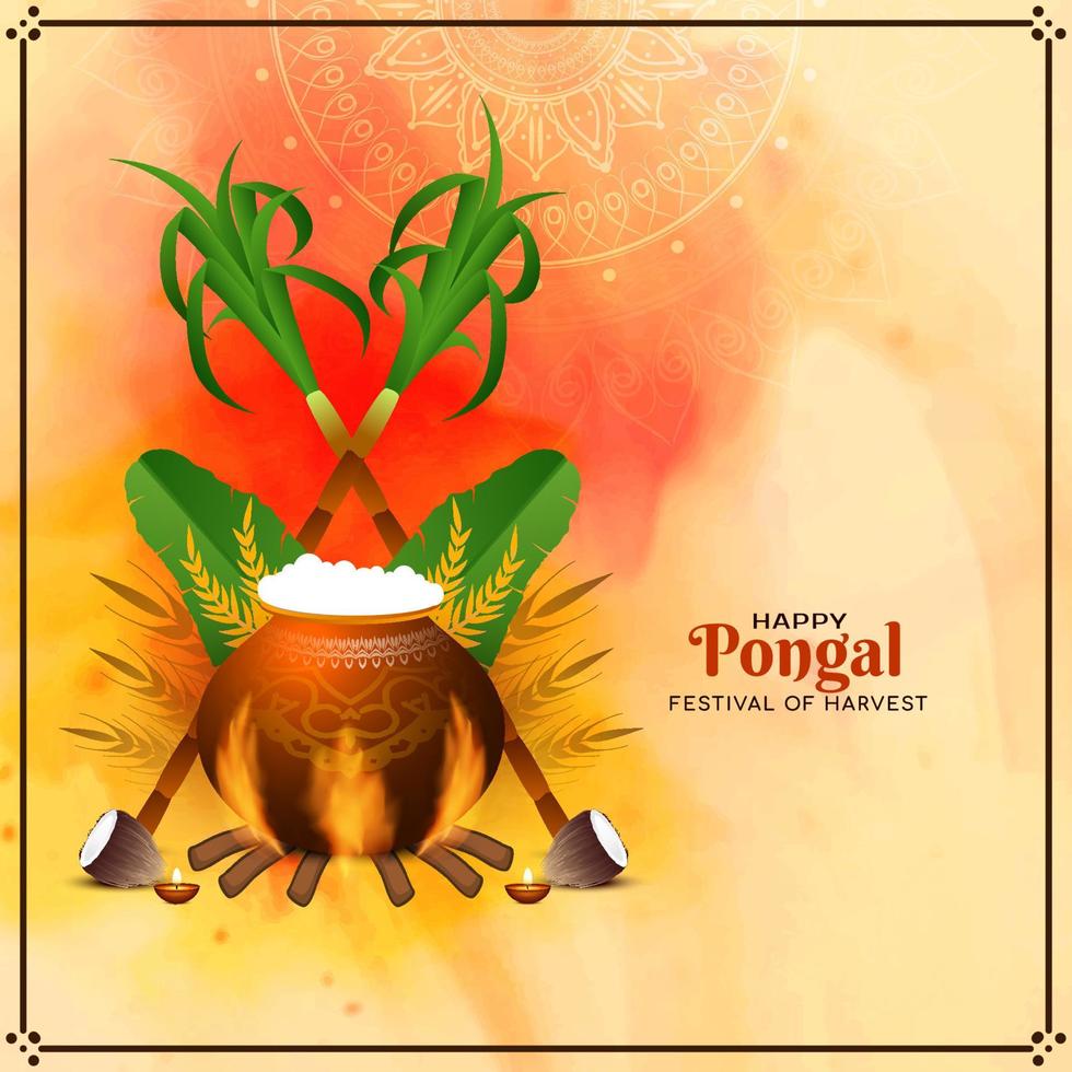 Happy pongal cultural harvest festival celebration card design vector