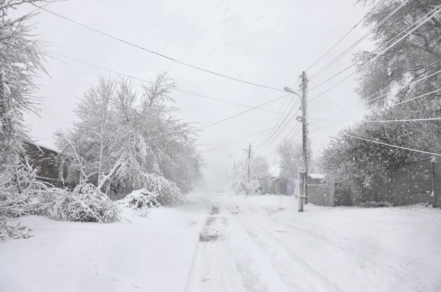 KHARKOV, UKRAINE - MAY 5, 2022 Unexpected rapid fallout of snow in April on the Kharkov streets photo