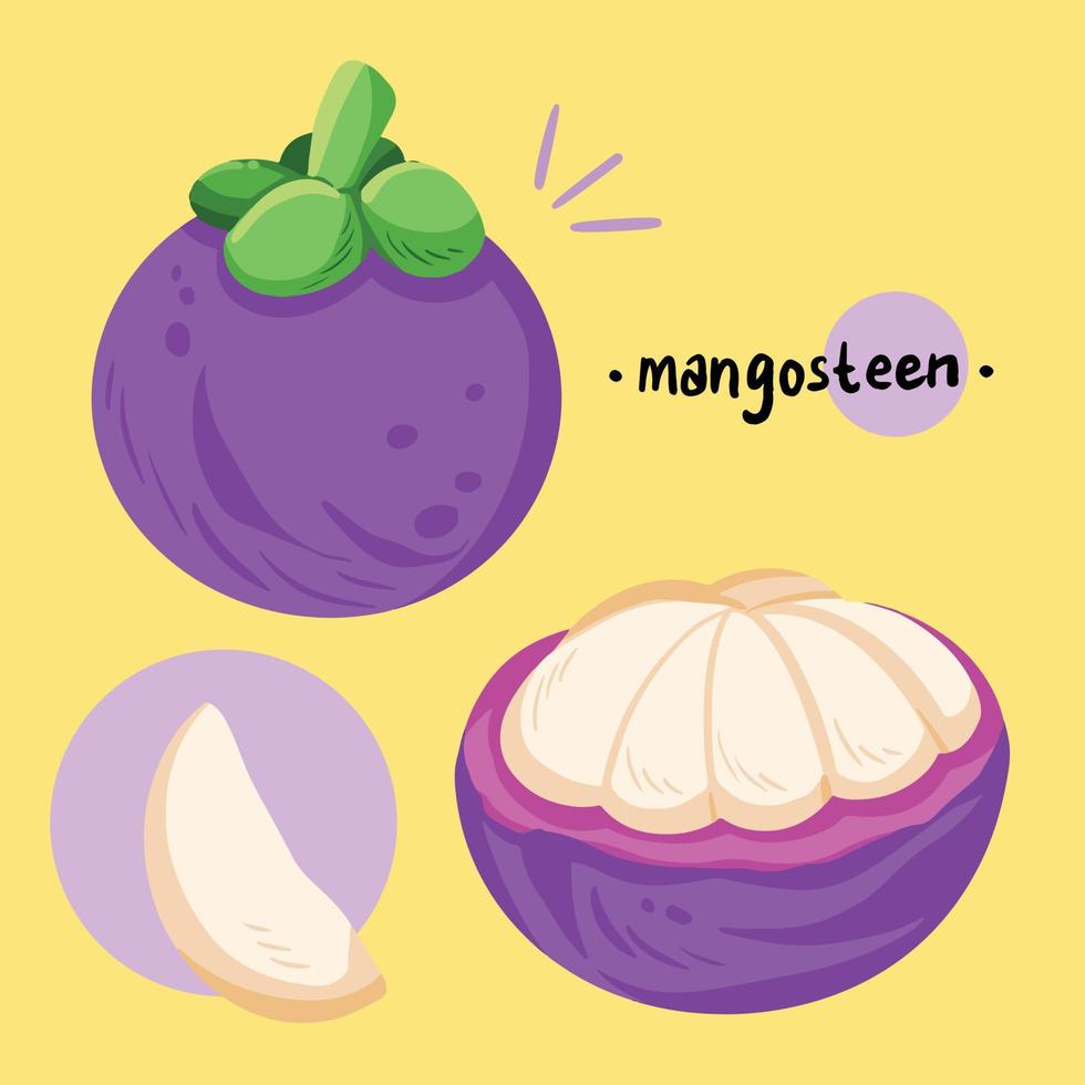 Illustrations of mangosteen fruit set collection vector illustration. Purple healthy fruit full of vitamins drawing with cartoon flat art style, isolated on yellow plain background.