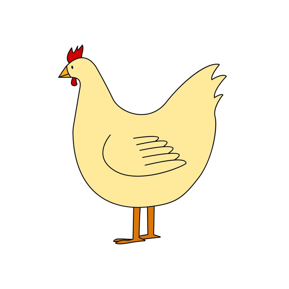 Cute farm hen isolated on white background. Vector illustration of chicken