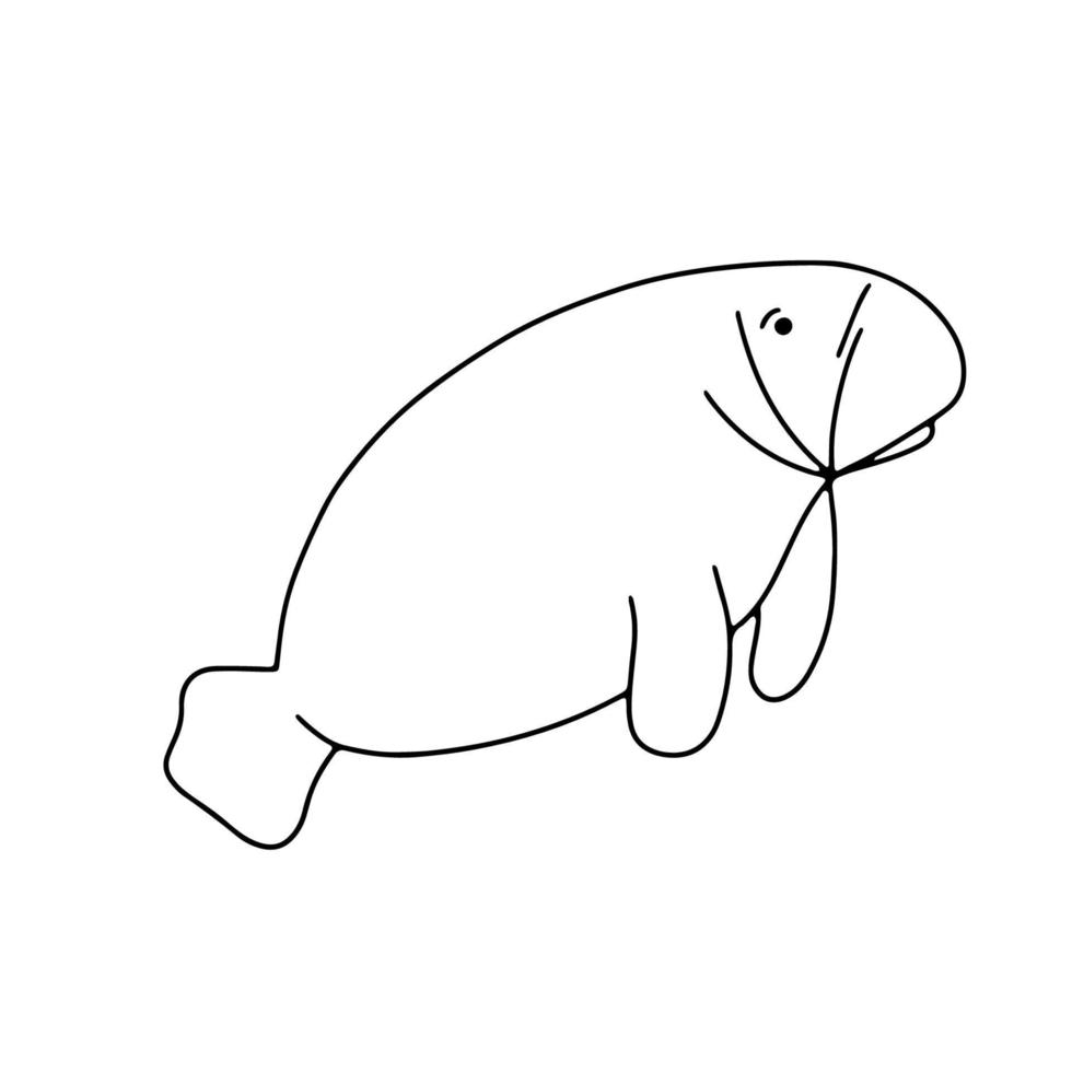 Manatee animal. Vector outline illustration isolated on white background