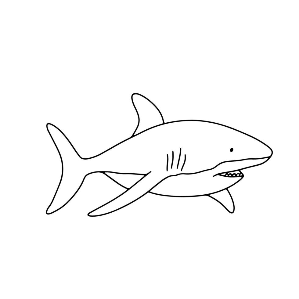 Vector swimming shark isolated on white background. Hand drawn outline