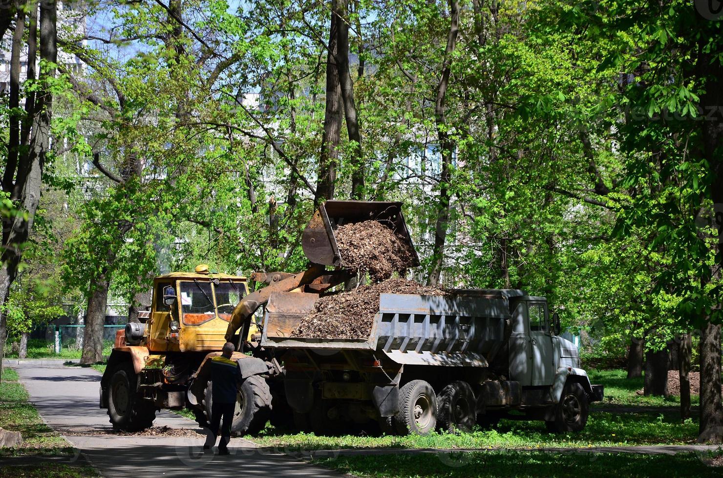 el equipo de mejora de la ciudad quita las hojas caídas en el parque con una excavadora y un camión. trabajo estacional regular en la mejora de los lugares públicos para la recreación foto