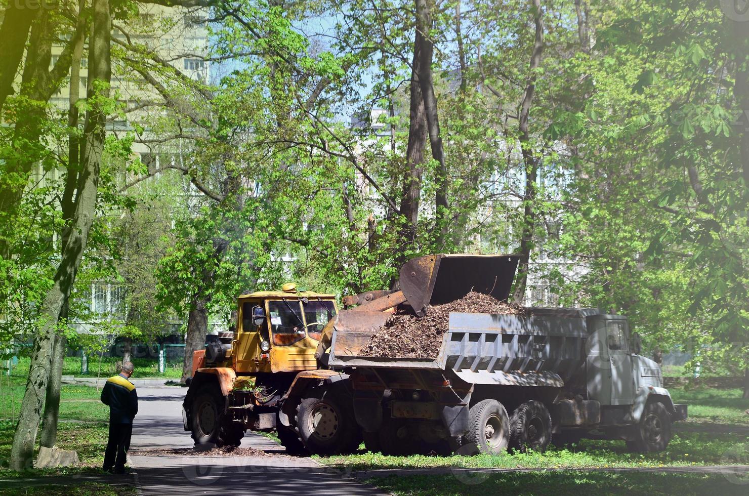 The city improvement team removes the fallen leaves in the park with an excavator and a truck. Regular seasonal work on improving the public places for recreation photo