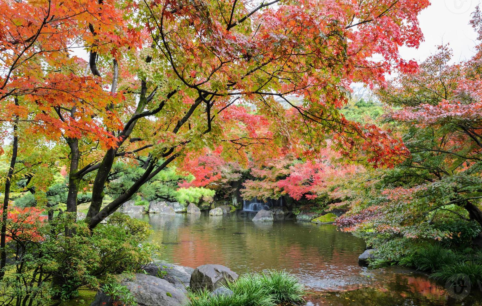 Kokoen, traditional Japanese garden  during autumn season in Himeji, Japan photo