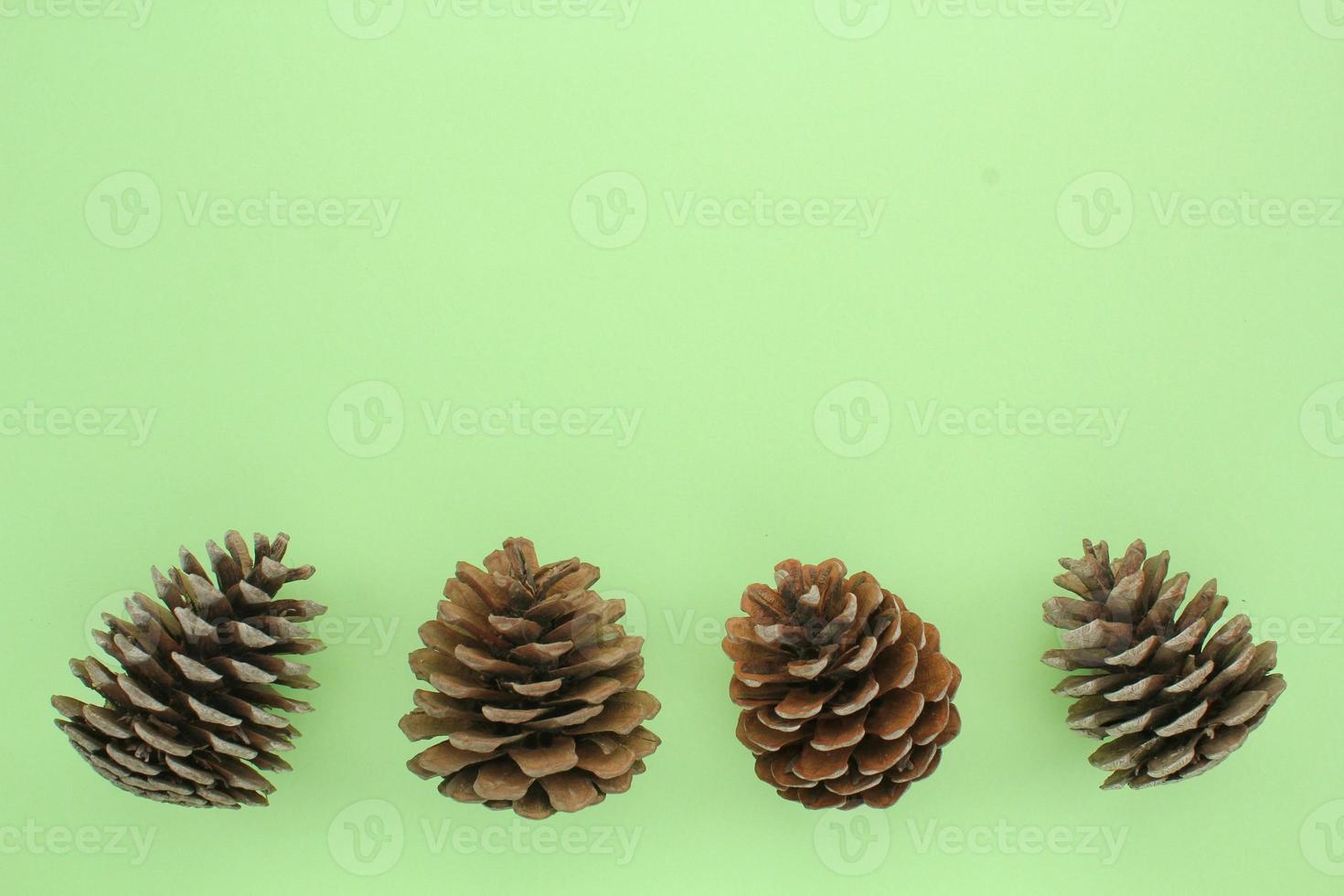 Pine fir cones of coniferous tree isolated on green background. Creative christmas holiday composition. Decoration for postcard. Natural forest materials. Top view, copy space, flat lay, close up photo