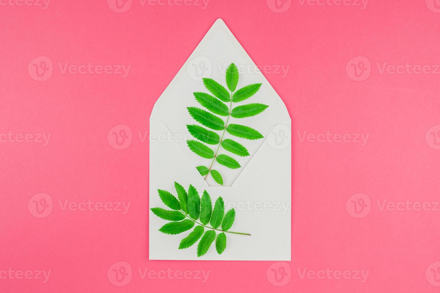 White letter mock up with fresh green leaves photo