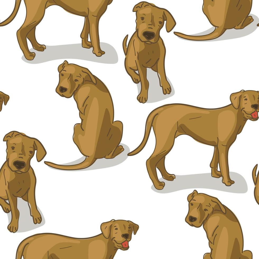 A pattern with an Argentine Great Dane in different poses. Vector graphics in 4 colors, close to the original. Suitable for printing on paper and textiles. Gift wrapping, clothing.