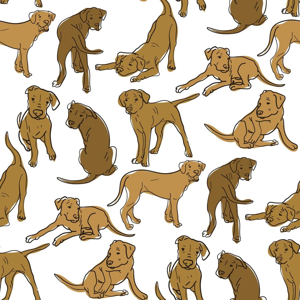 un patrón con un gran danés argentino en diferentes poses. dibujos gráficos de perros en diferentes poses con líneas marrones y manchas. adecuado para la impresión en papel y textiles. envoltura de regalos, ropa vector