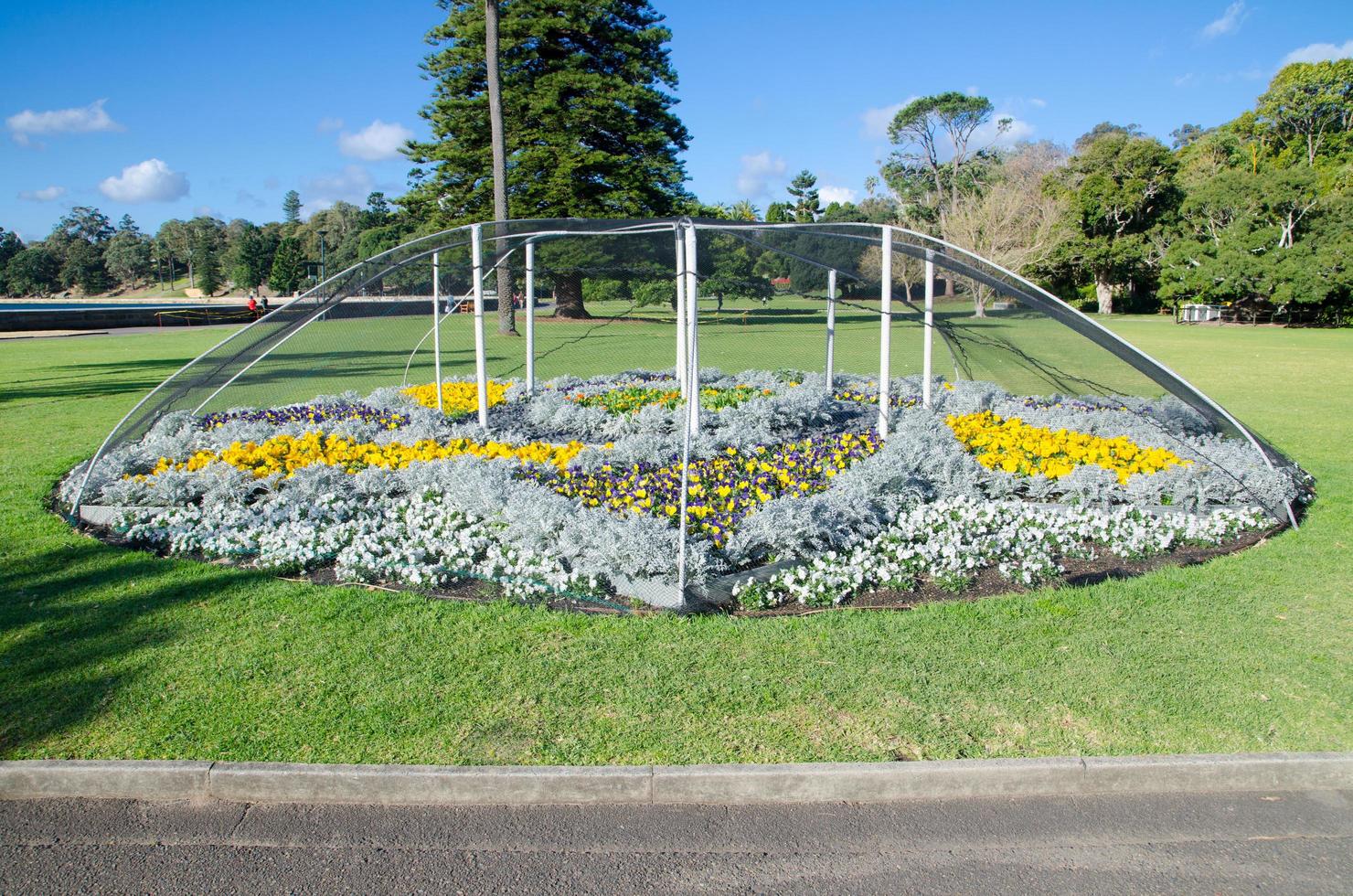 el jardín de flores se ha protegido con una malla antipájaros. foto