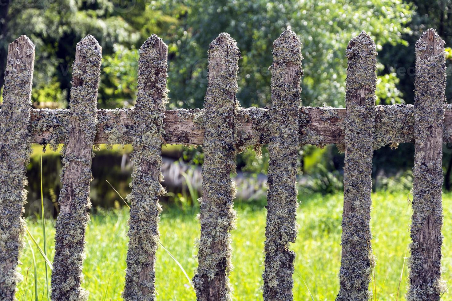 Very old wood picket fence, mossy old wooden fence in the forest park, moss photo