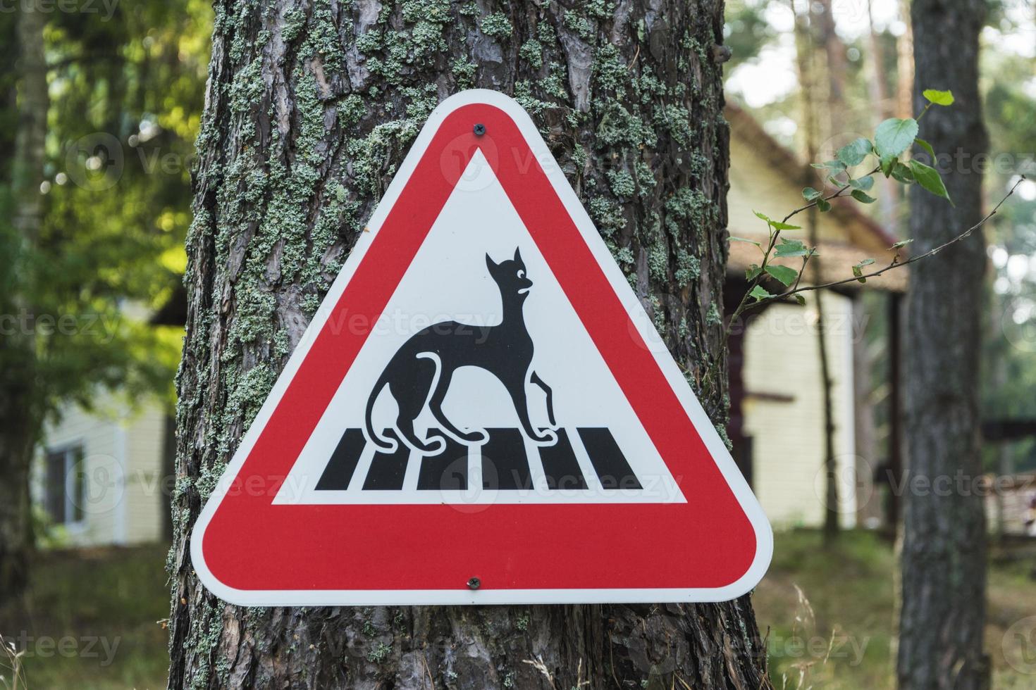 Warning Sign Beware of Cats, Playful Sign, Red Triangular Road Sign Warning about Cats photo