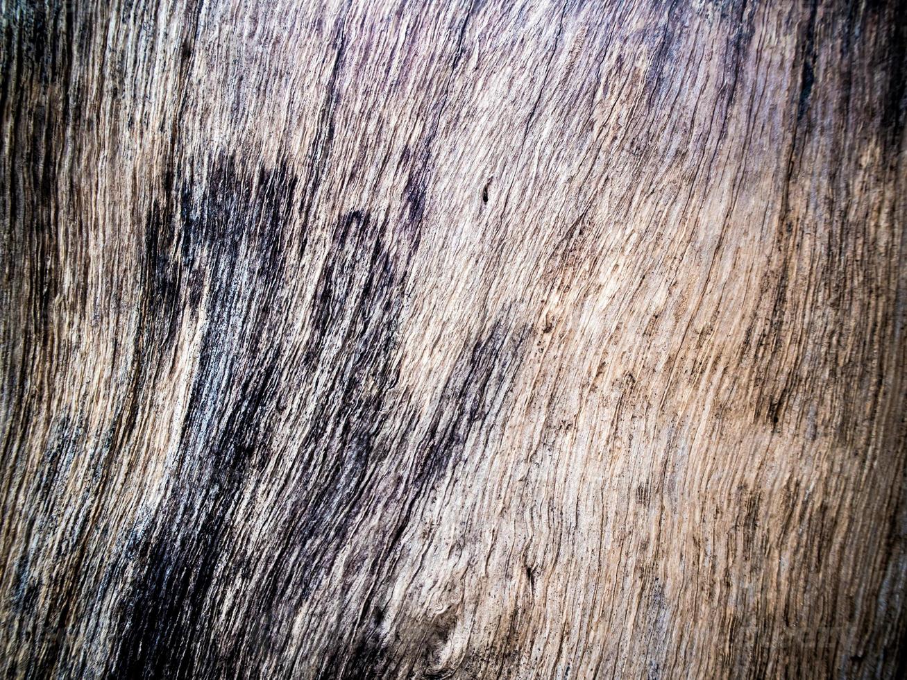 Cerca de la vieja textura de tocón de madera foto