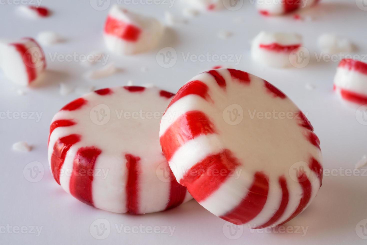 Red and White Peppermint Discs photo