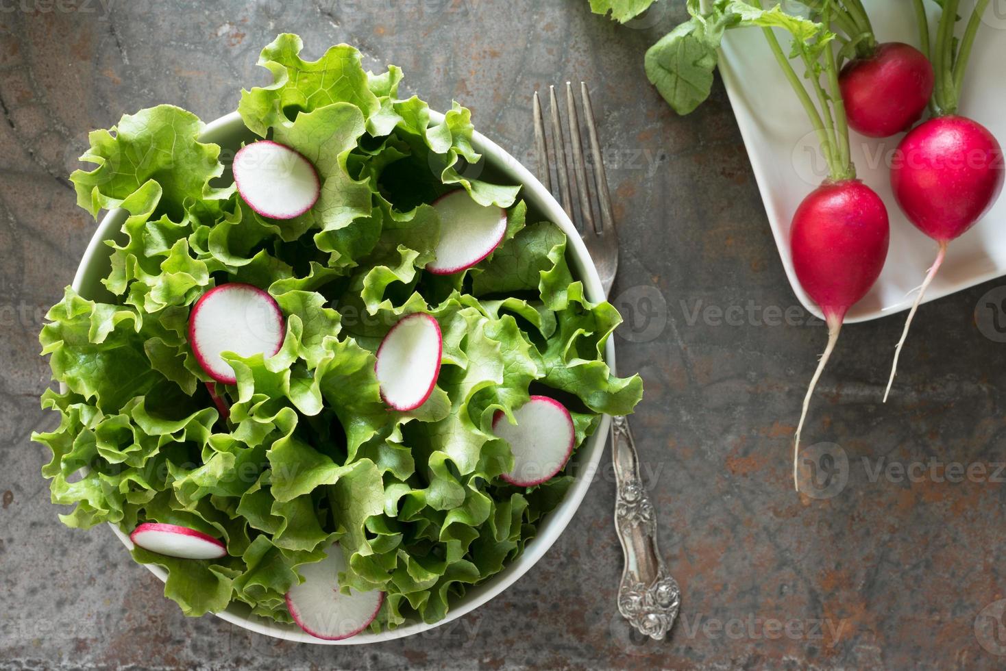 Leaf Lettuce and Radish Salad photo