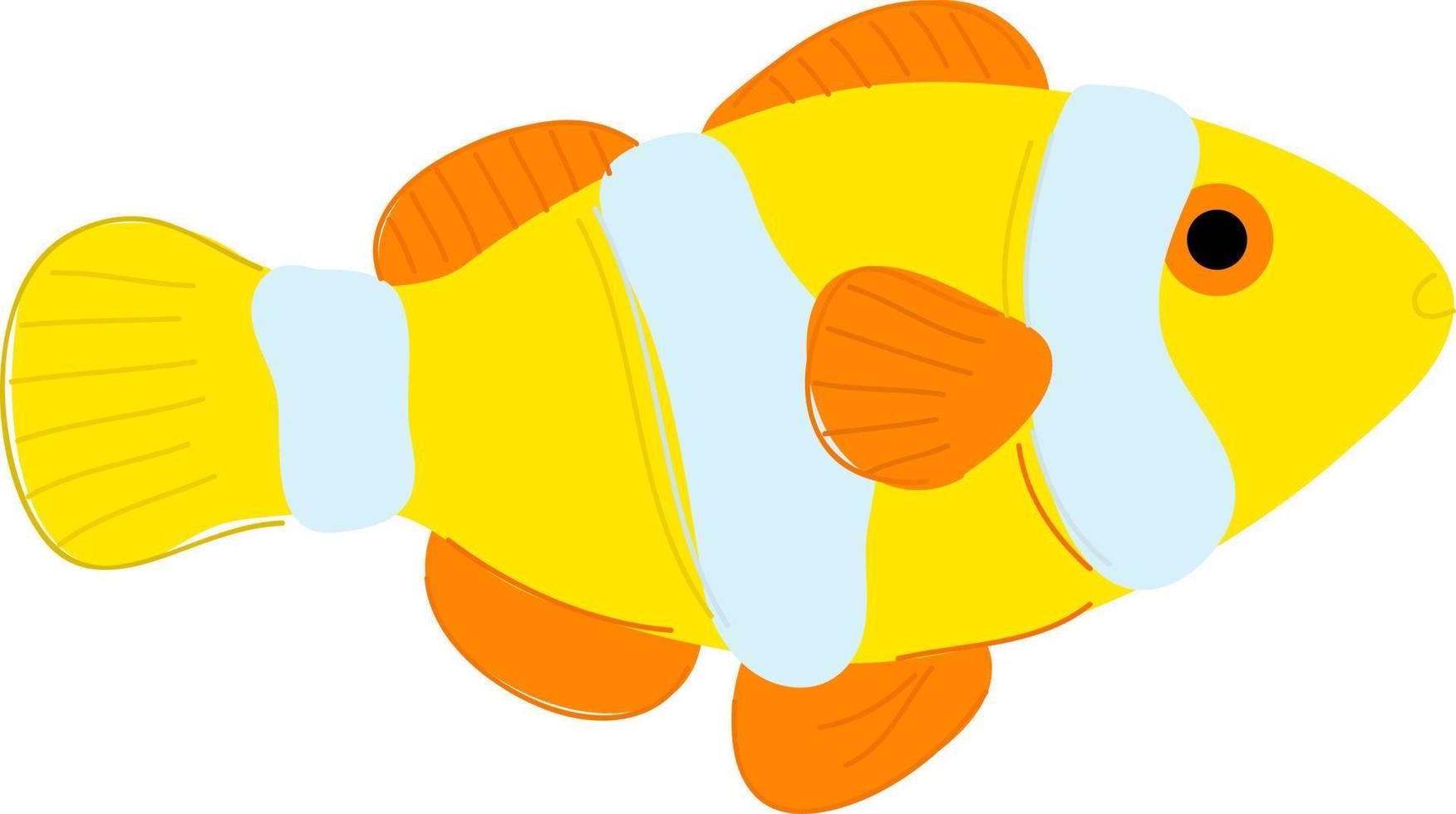 Hand drawn style ocean Clownfish vector