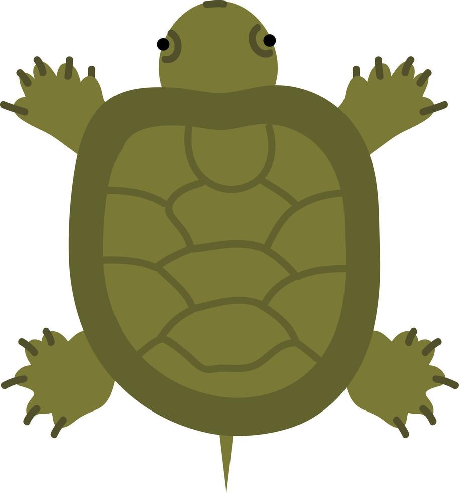 Hand drawn style ocean turtle vector