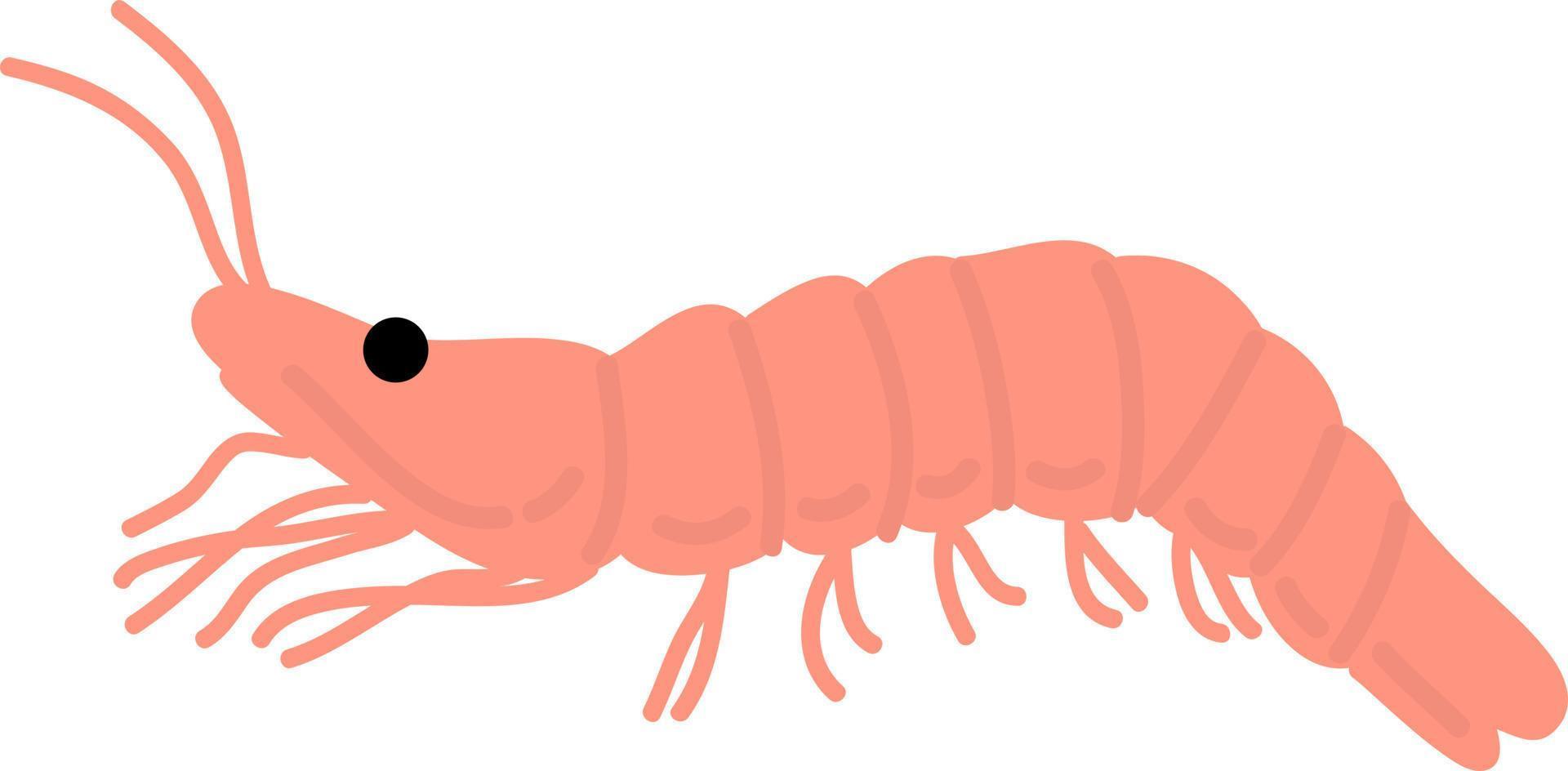 camarones de océano estilo dibujado a mano vector