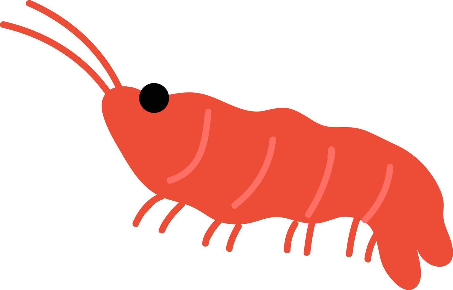 camarones de océano estilo dibujado a mano vector