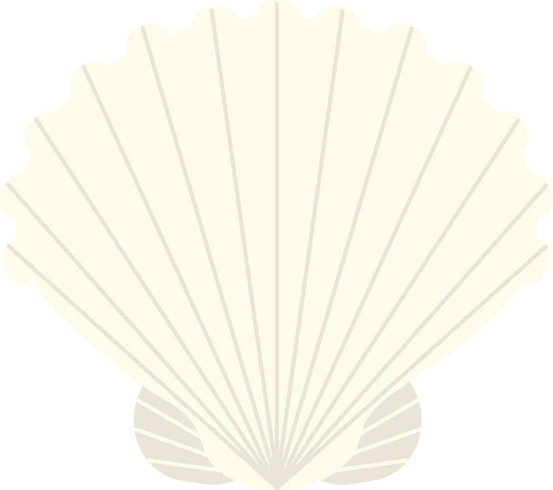 Hand drawn style ocean Sea Shell vector