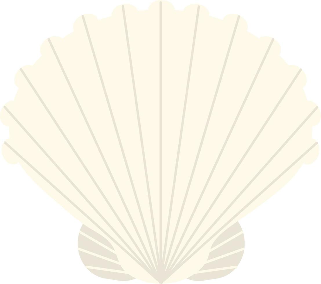 Hand drawn style ocean Sea Shell vector