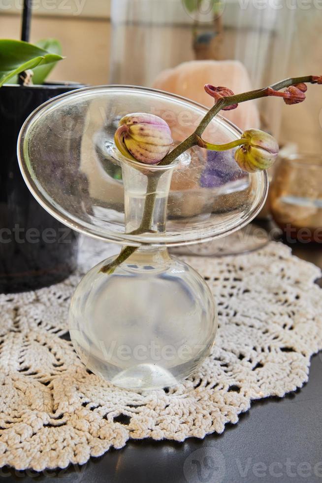 brote de una orquídea con capullos sin abrir en un jarrón de agua foto