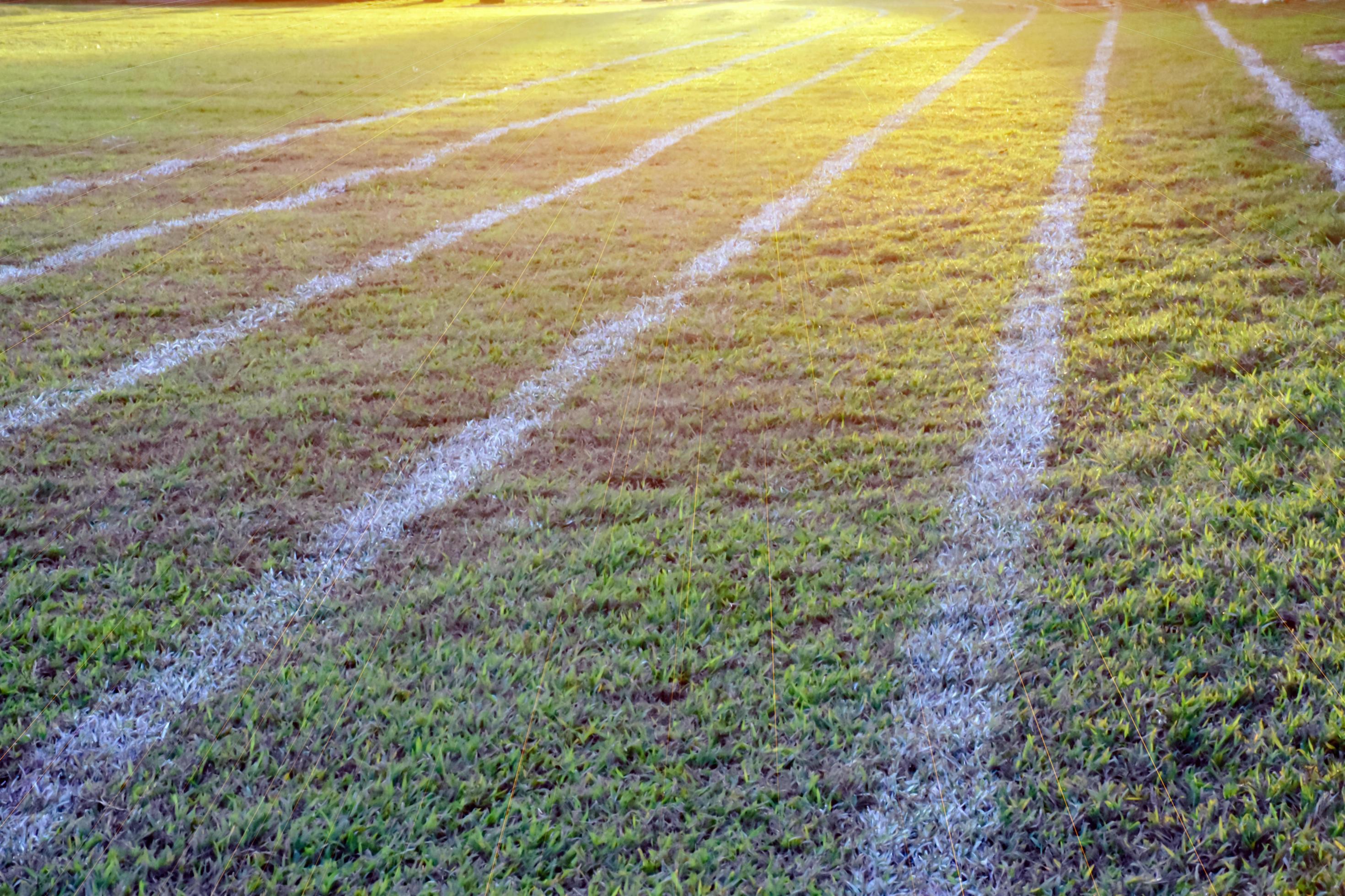 Outdoor white lines on grass field for practisting running at school in