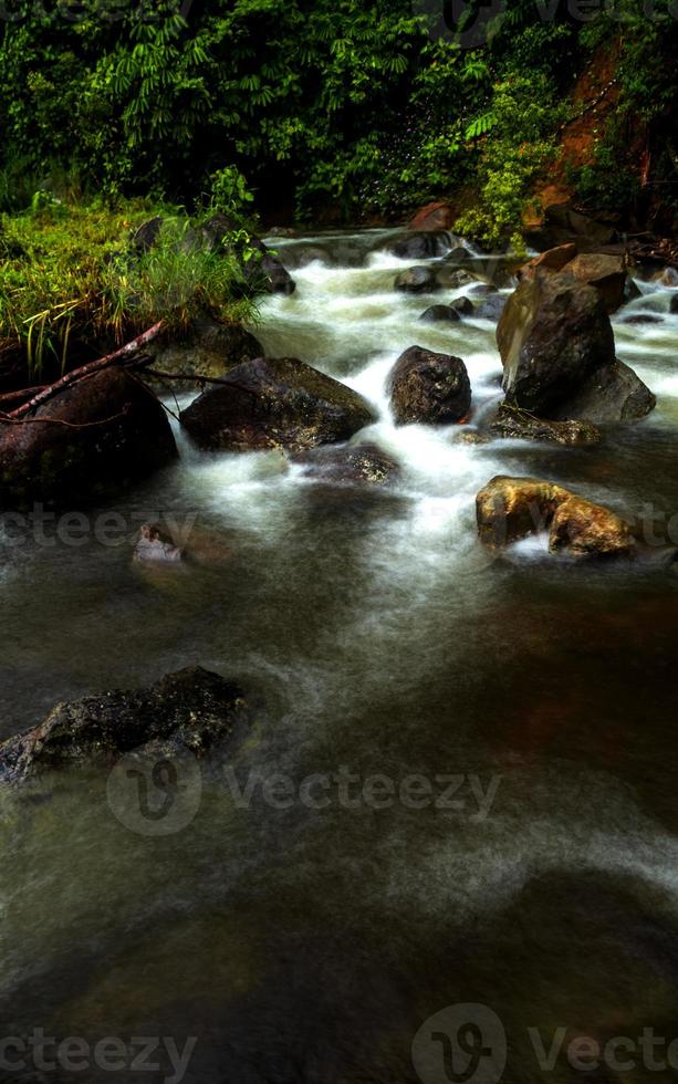 Little stream in forest with rock photo