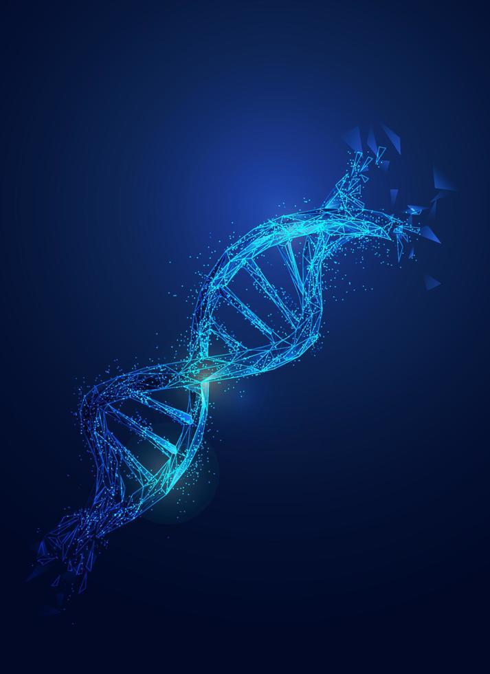 low poly DNA vector