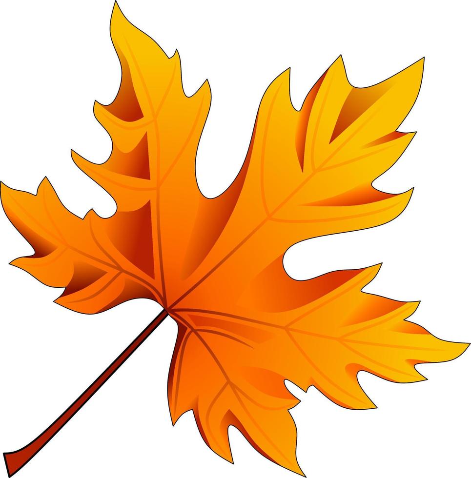 Autumn maple leaf vector illustration. Maple leaf vector for logo, icon, sign, symbol, business, design or decoration. Maple leaf autumn isolated vector