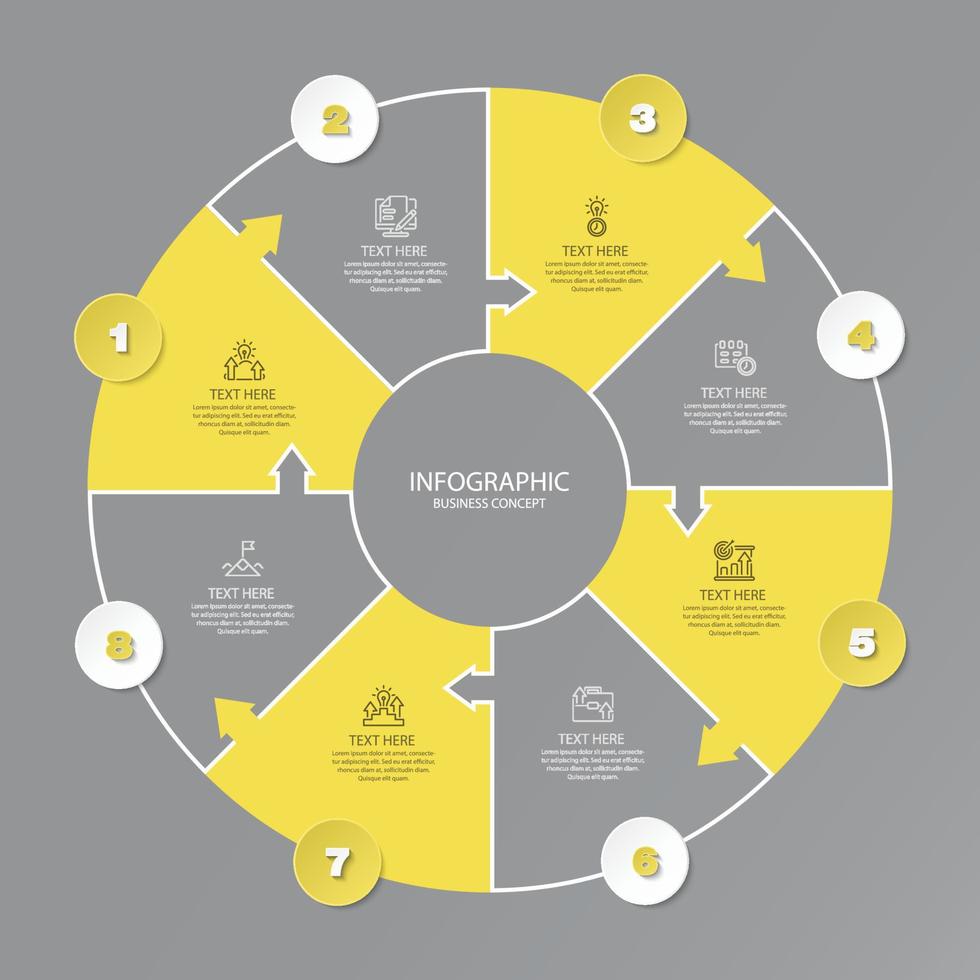 Basic circle infographic with 8 steps, process or options. vector