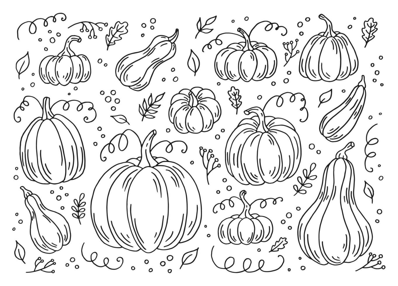 Set of pumpkins. Hand drawn vector illustration in doodle style. Black and white image of vegetables.