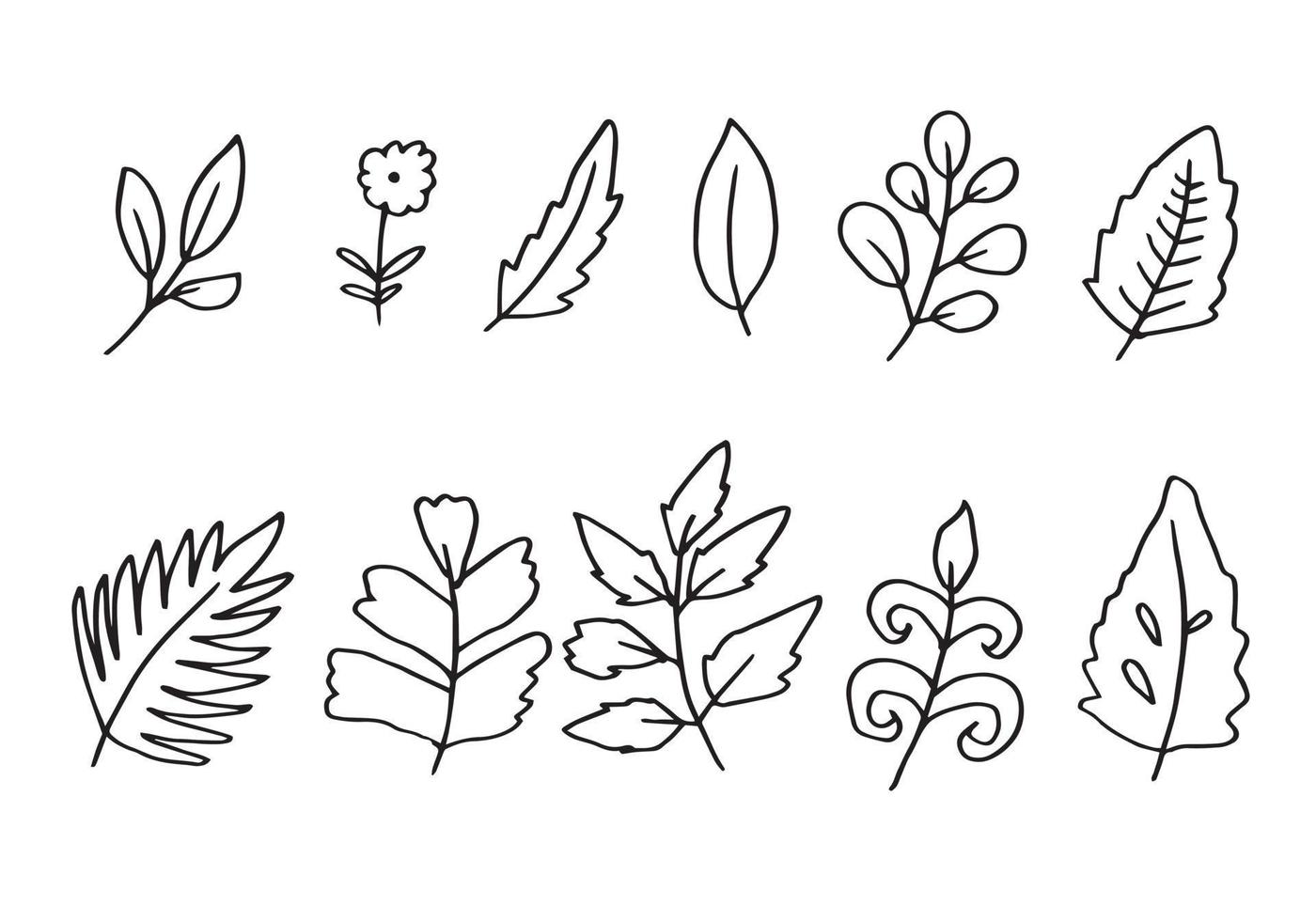 a collection of hand-drawn flower images such as bellflower, chrysanthemums, sunflowers, cotton flowers, and tropical leaves vector