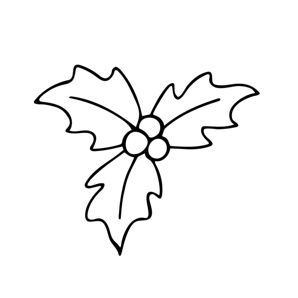 Doodle of holly leaves and berries isolated on white background. Vector hand drawn illustration for Christmas design.