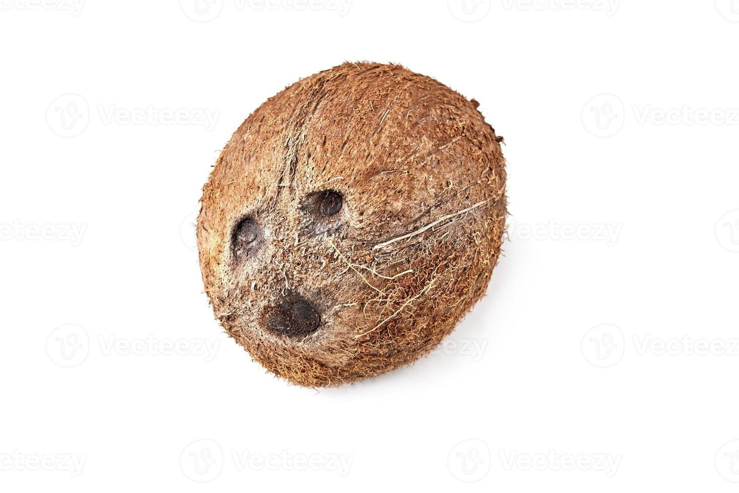 Full coconut isolated on a white background photo