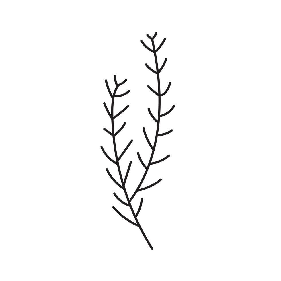 Christmas fir branch hand drawn. vector
