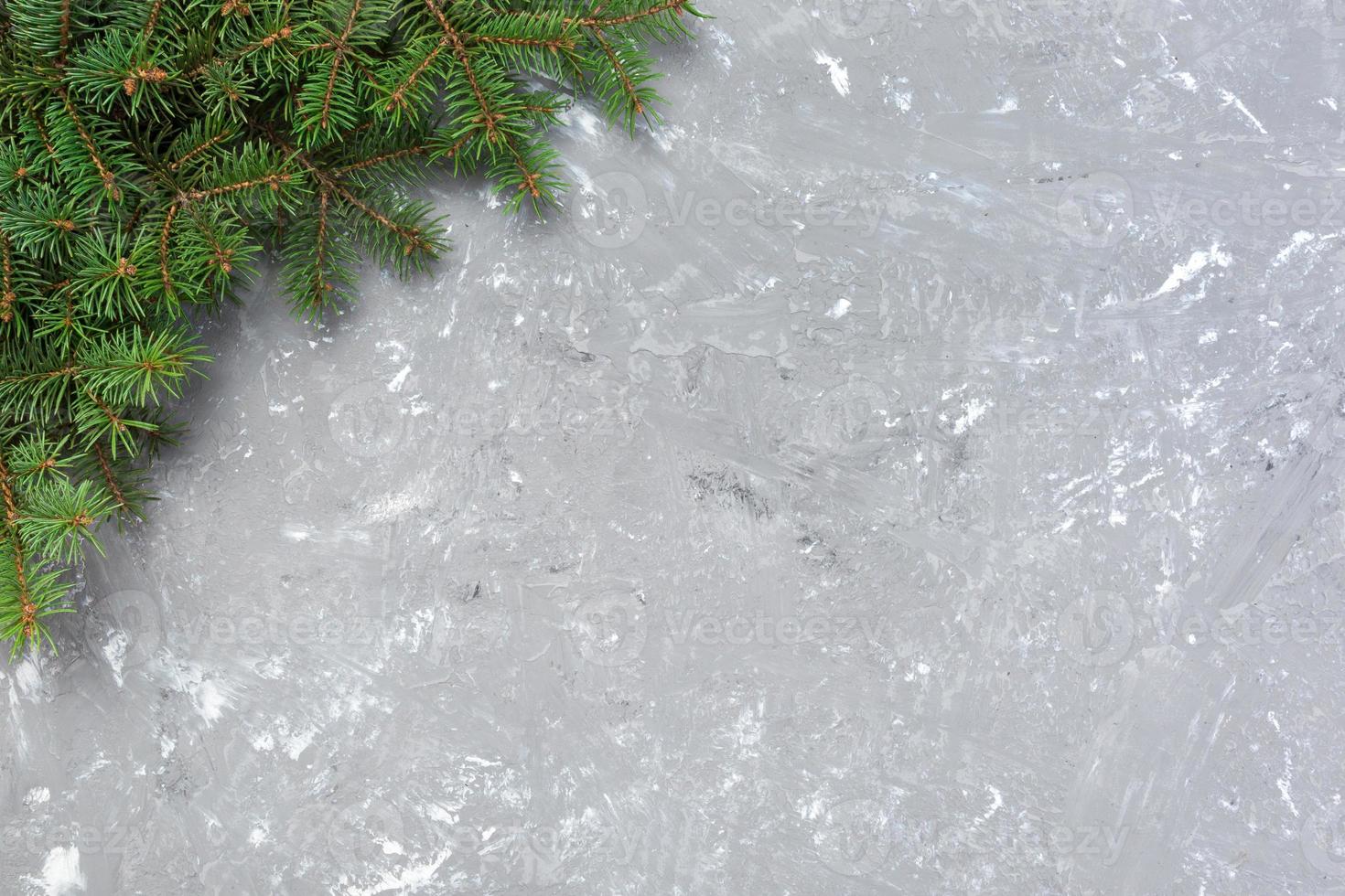 Christmas gray cement background with fir tree and copy space. top view empty space for your design photo