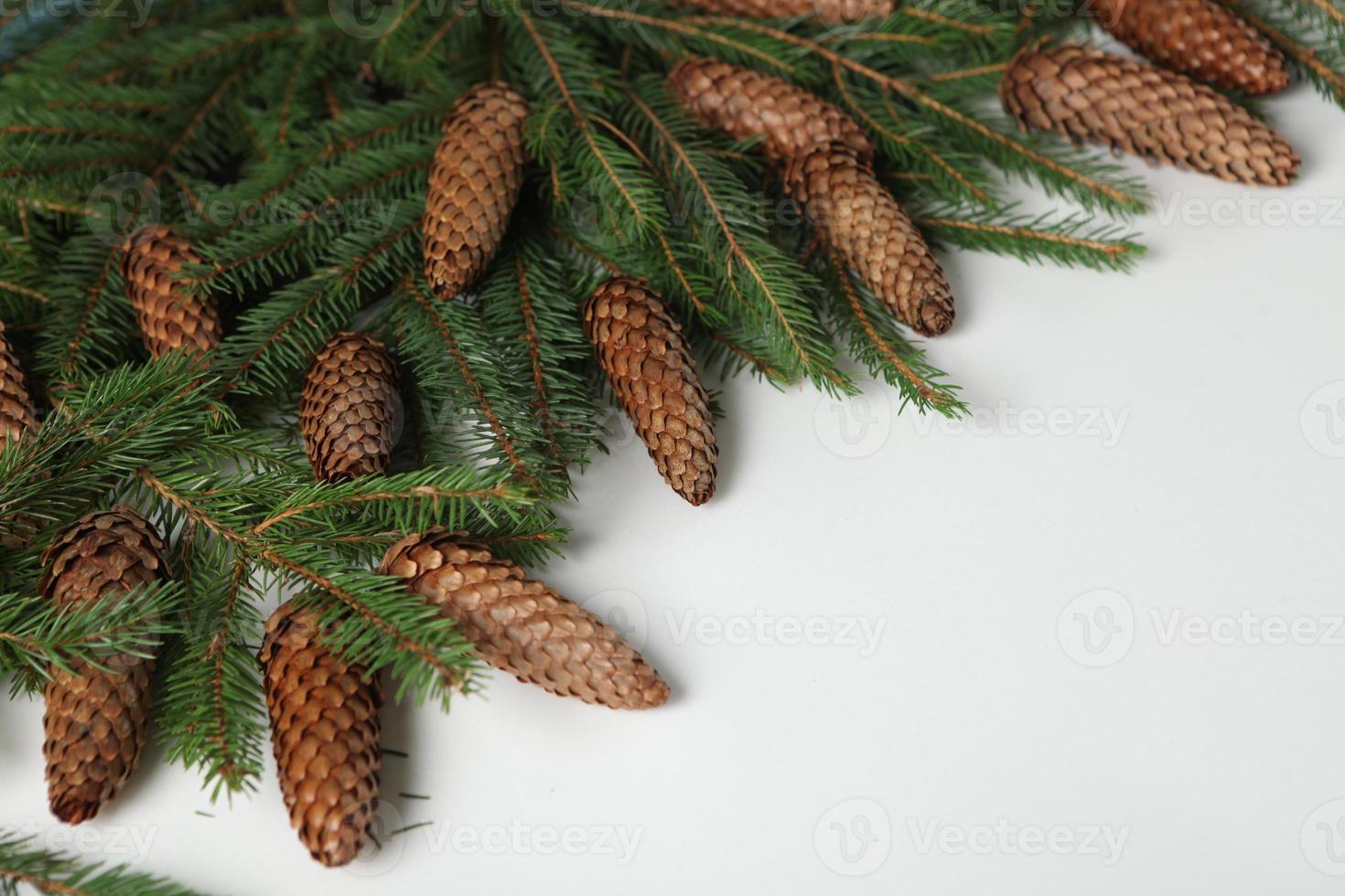 Original Christmas tree background. Merry Christmas tree greeting card. Happy New Year 2023 photo