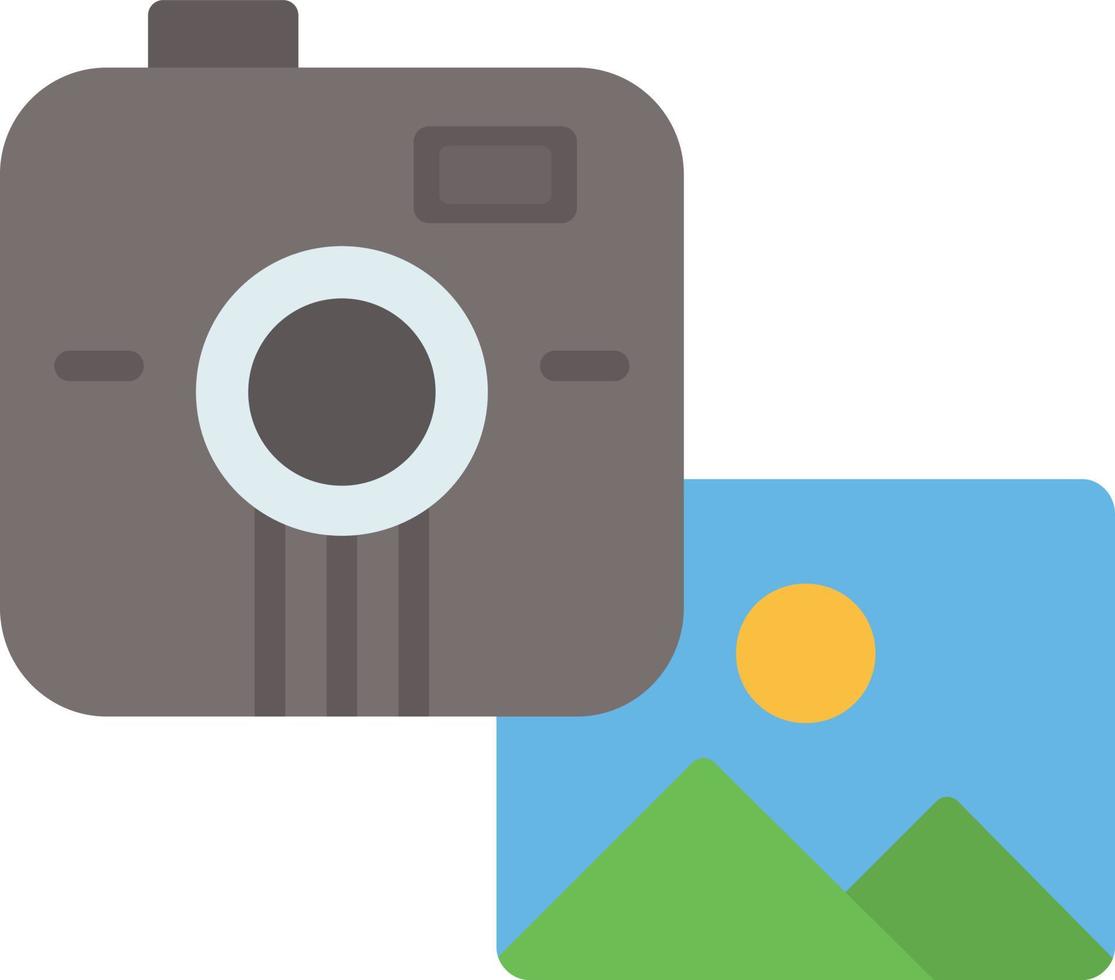 Instant Camera Flat Flat Icon vector