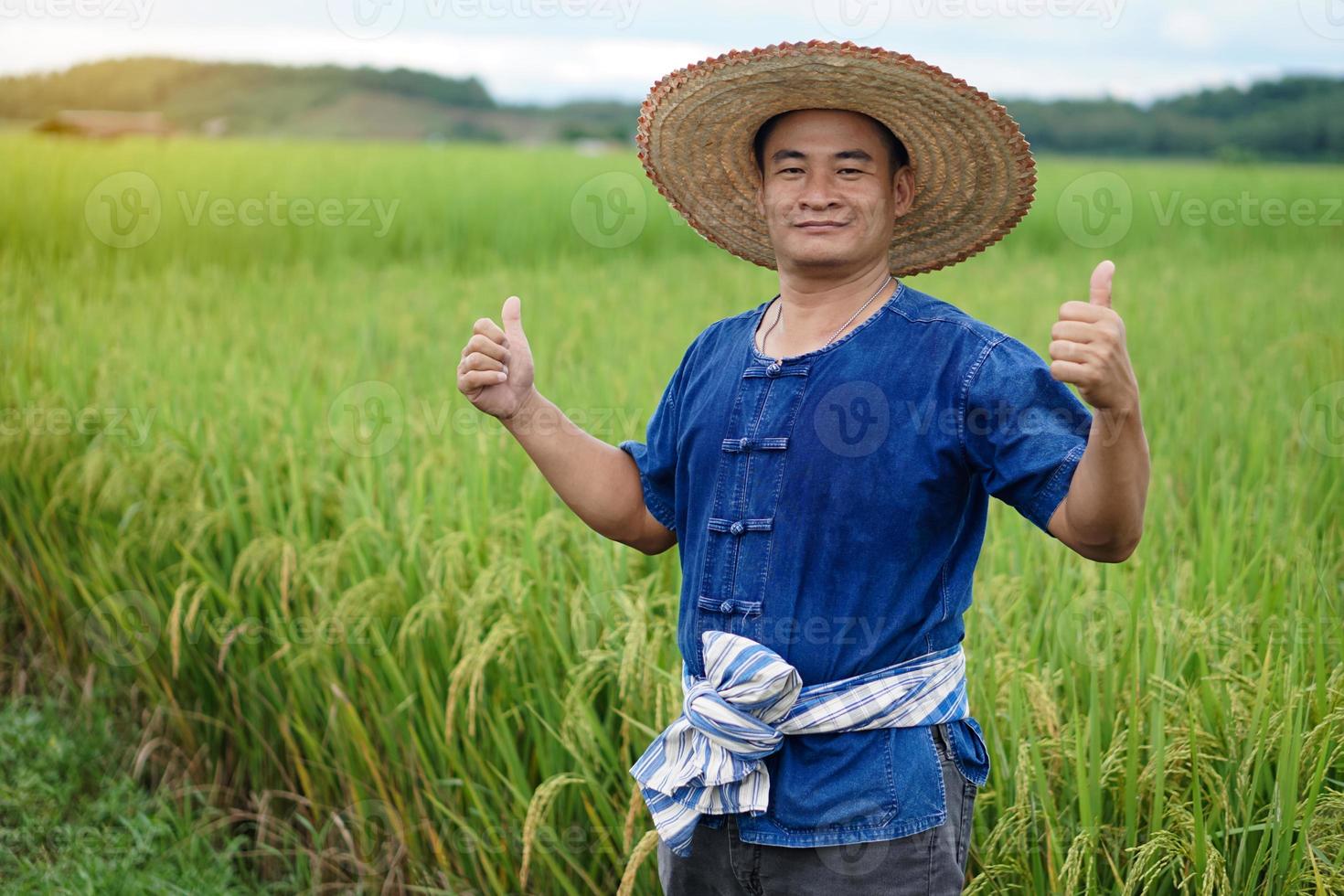 Asian man farmer wears hat, blue shirt , stands at green paddy field, thumbs up, feels confident. Concept. Agriculture occupation. Thai farmer. Organic farming. photo