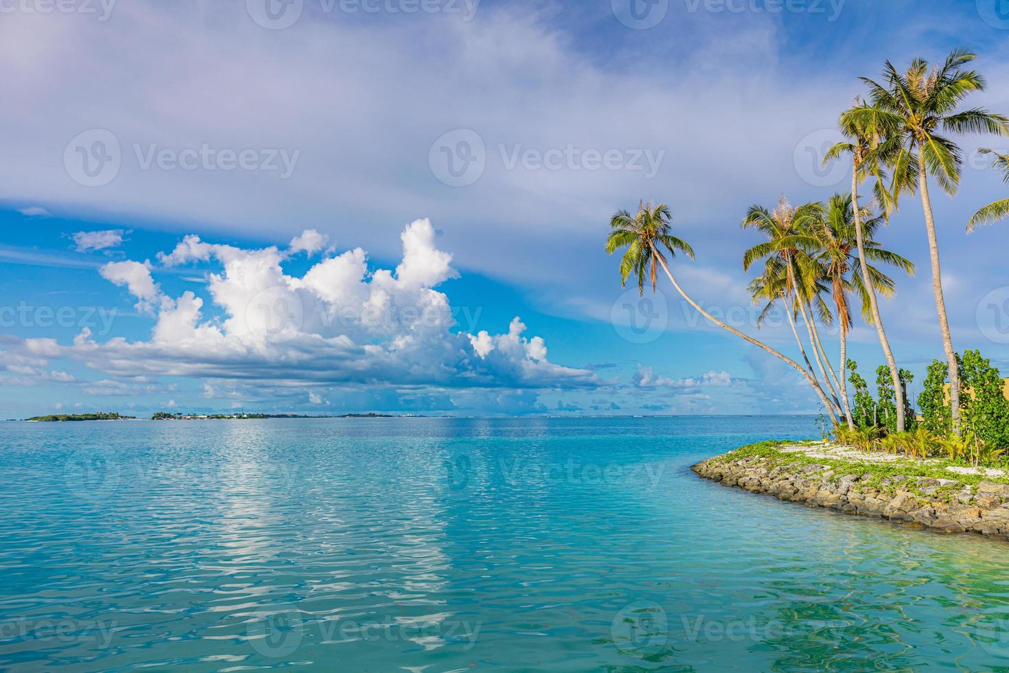 Paradise sunny beach with coco palms and turquoise sea. Summer vacation and tropical beach concept. Breakwater typical waters edge with palm trees and calm sea surface. Miami beach Florida seascape photo