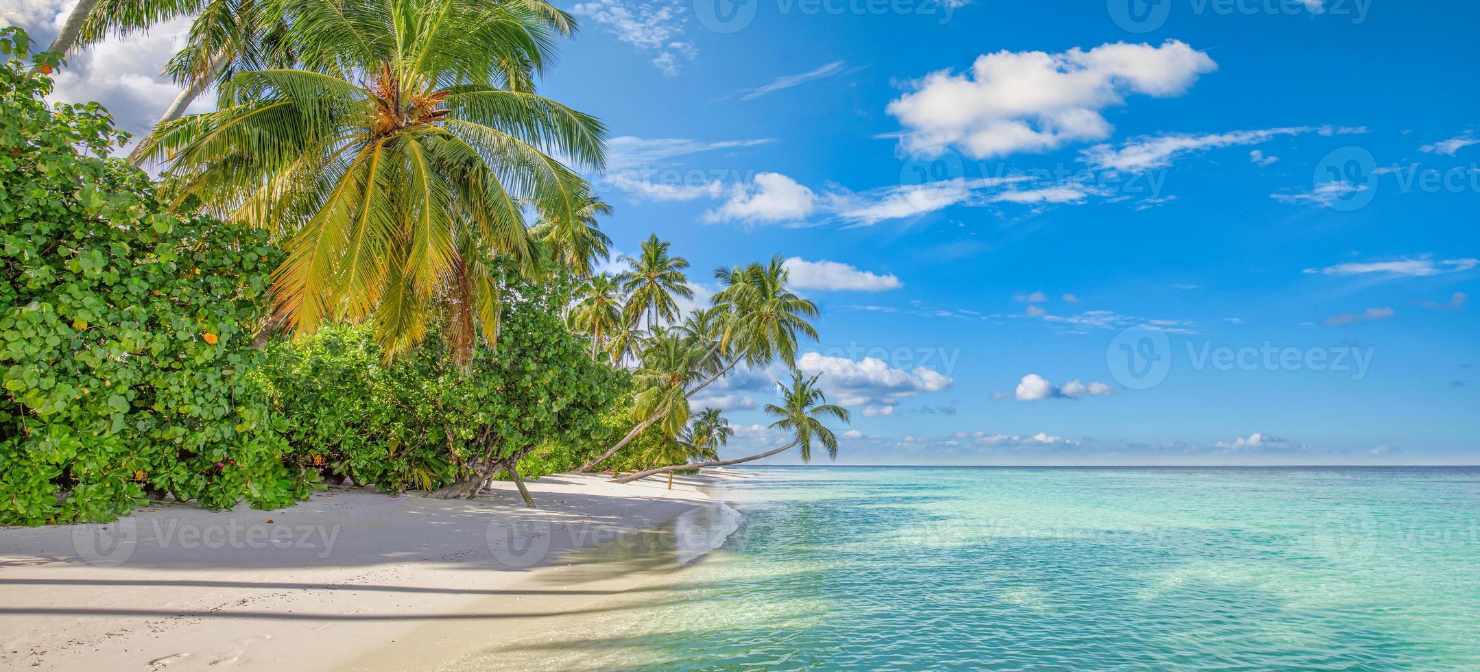 Summer travel background. Exotic tropical beach island, paradise coast. Palm trees white sand, amazing sky ocean lagoon. Fantastic beautiful nature panorama, sunny day idyllic inspirational vacation photo